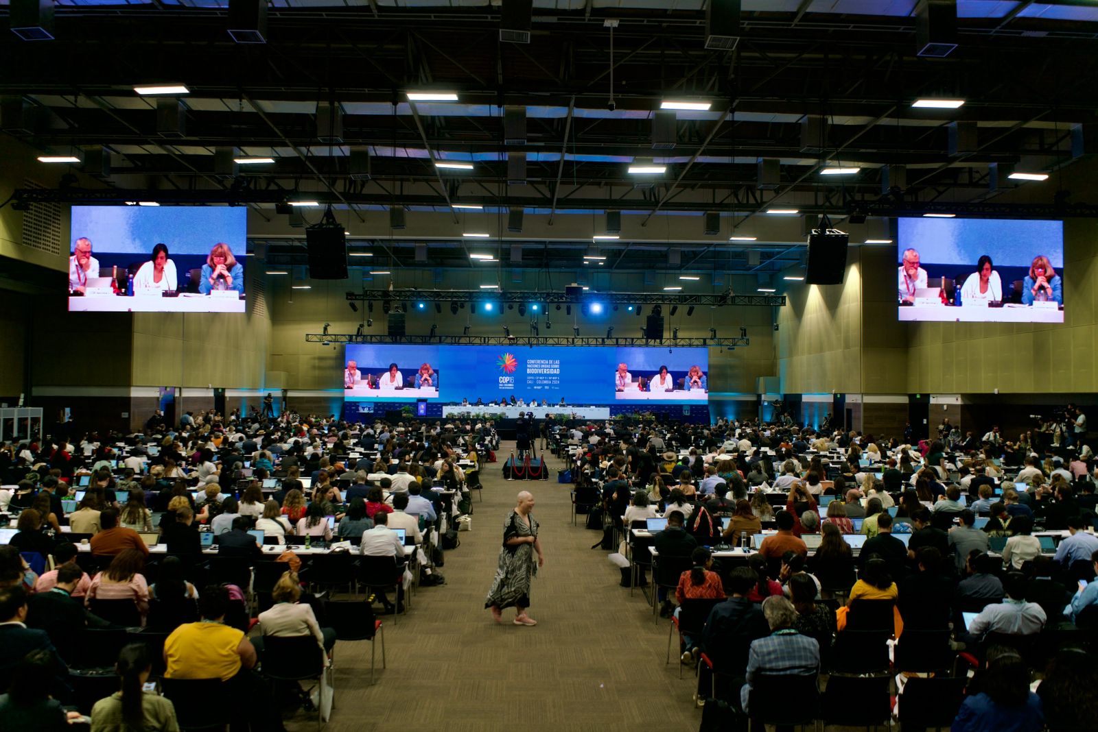 Delegates at the UN Biodiversity COP16, Cali, Colombia Foto : Fao.org
