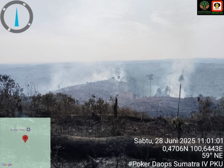 Api Membakar 50 Ha Hutan dan Lahan di Riau Sejak Jumat 27 Juni, Foto : Metro News